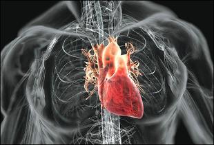 Herz-kreislauf-erkrankungen